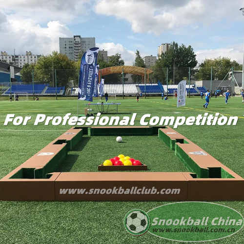 Professional Competition Snookball